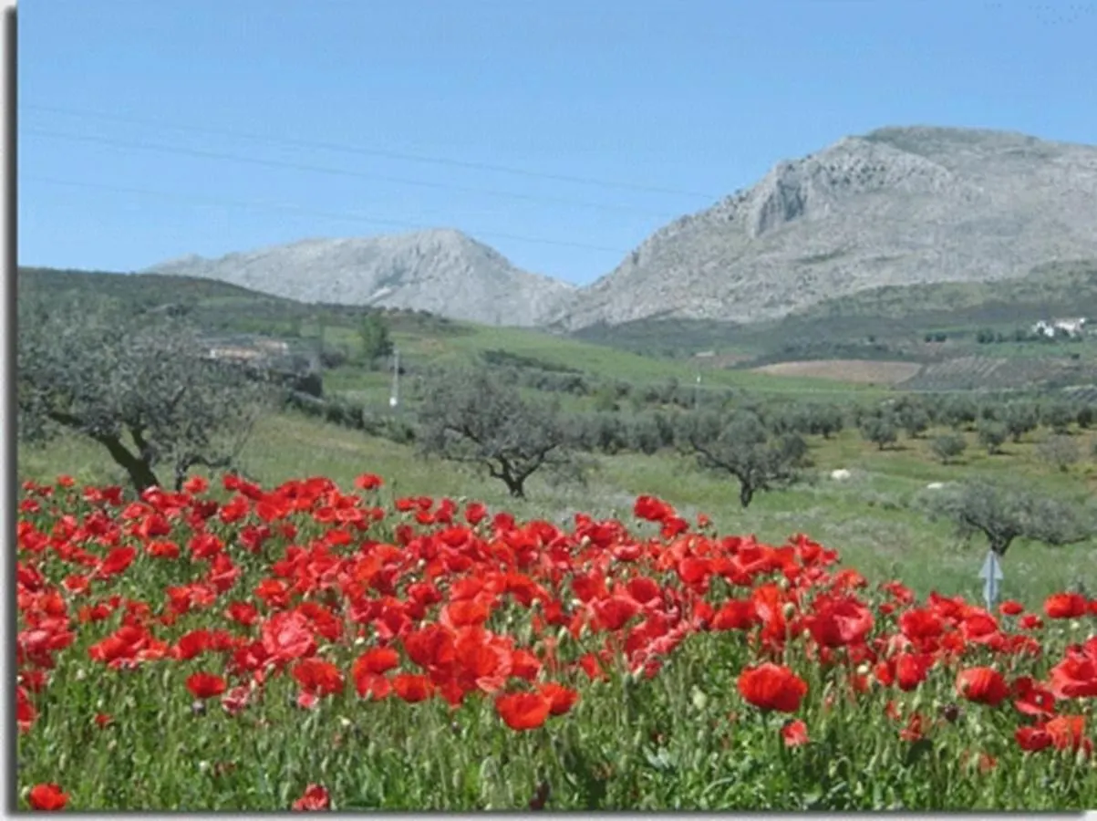 Angustias Villa Torrox Spain